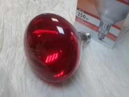 CE-2420